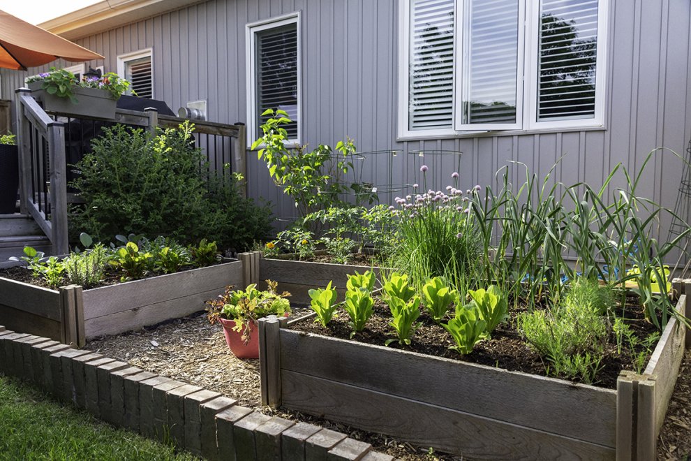 What Kind of Soil Should You Use for a Garden Bed